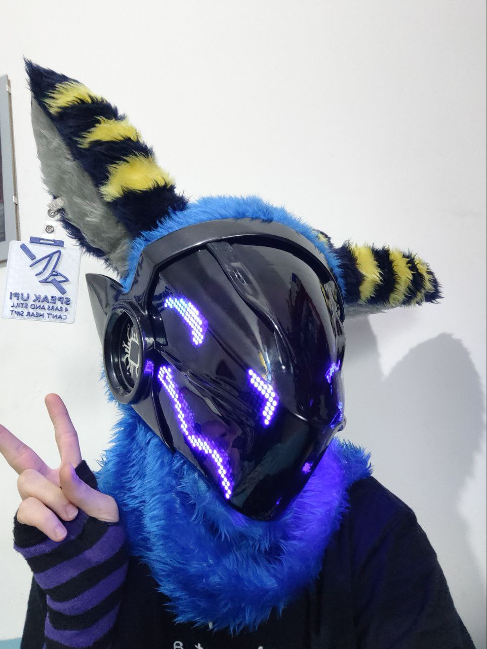 Fursuit Photo 1